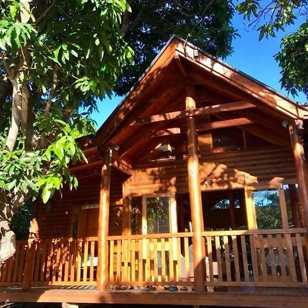 Mango Cottage Horseshoe Bay Extérieur photo